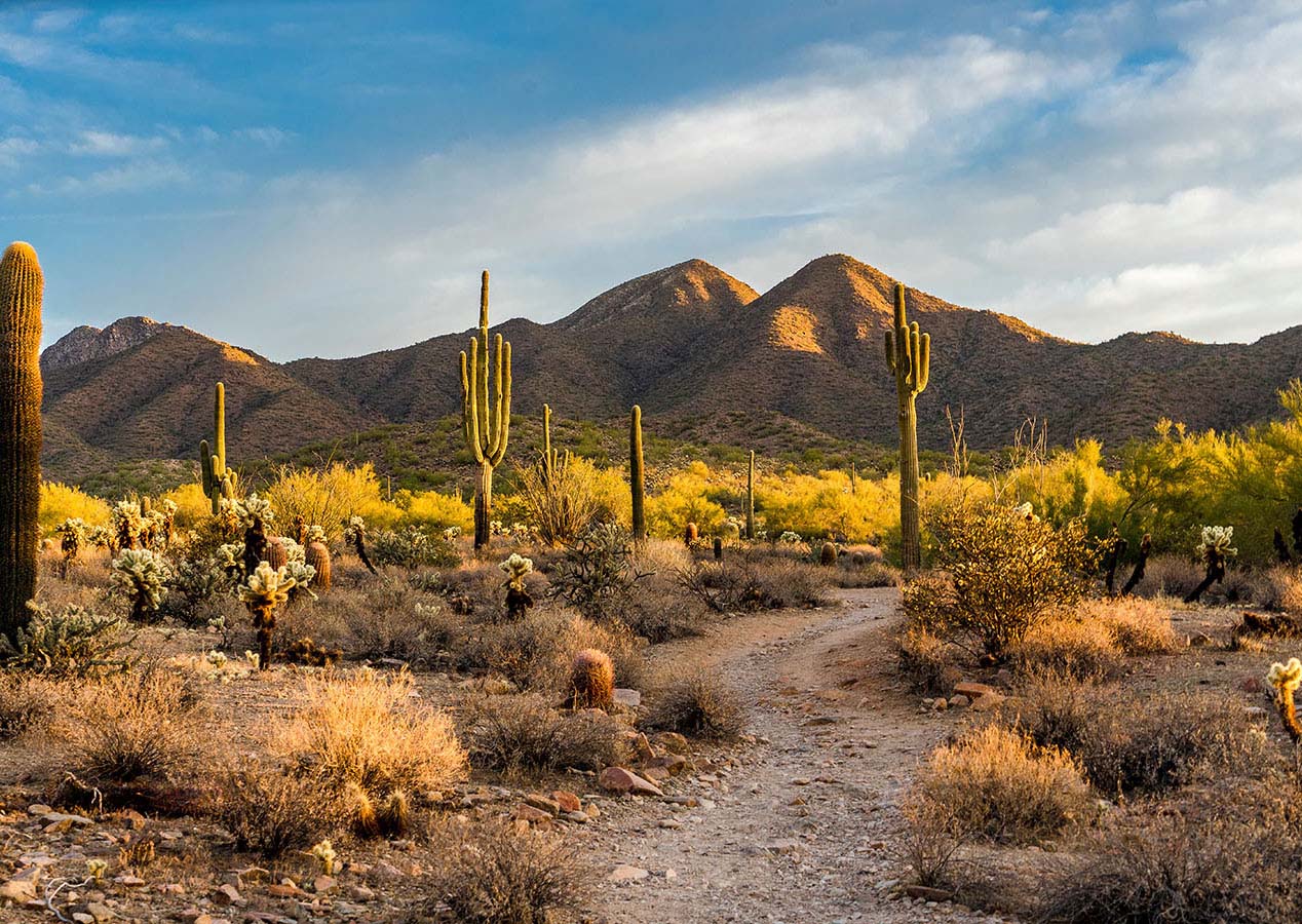 Palm Desert Real Estate - Miguel Briones, Real Estate Agent